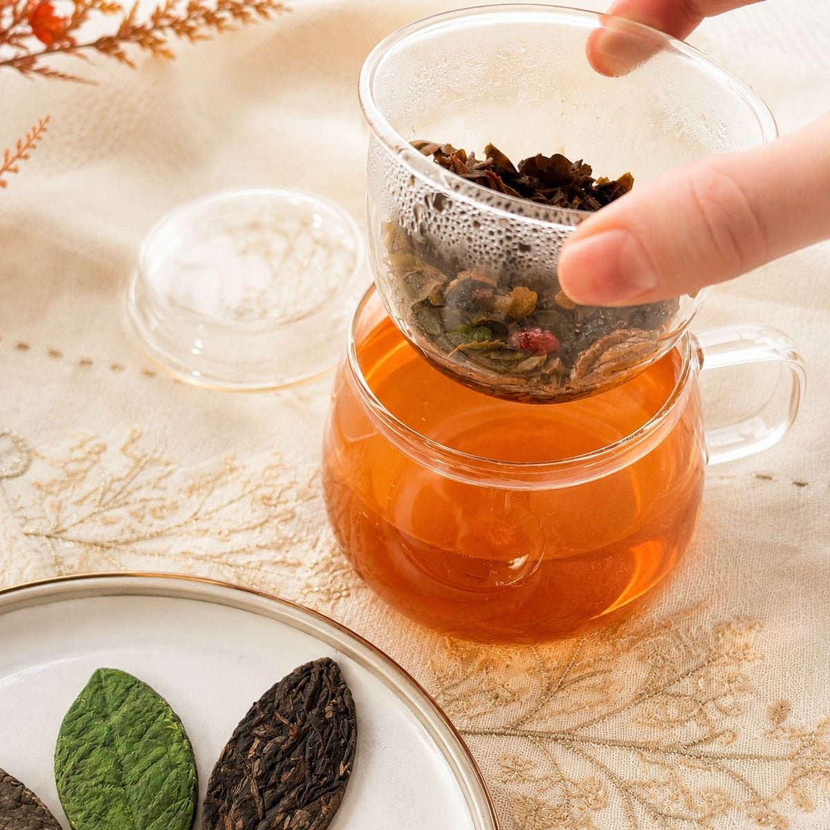 A pressed tea leaf steeping in a glass infuser over a teapot, slowly loosening and opening in hot water