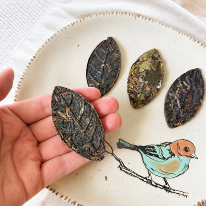 Hand holding a dark pressed tea leaf above a plate decorated with a painted bird