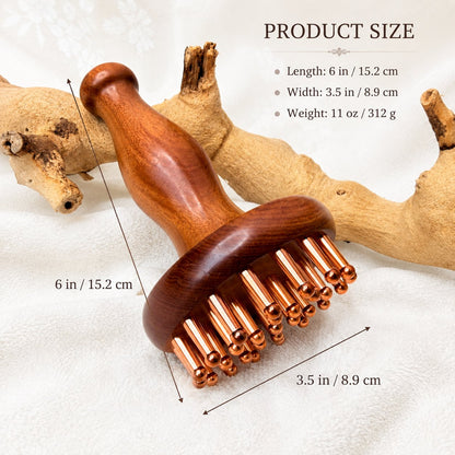 Infographic showing the massager's size: 6 in / 15.2 cm length, 3.5 in / 8.9 cm width, 11 oz / 312 g weight