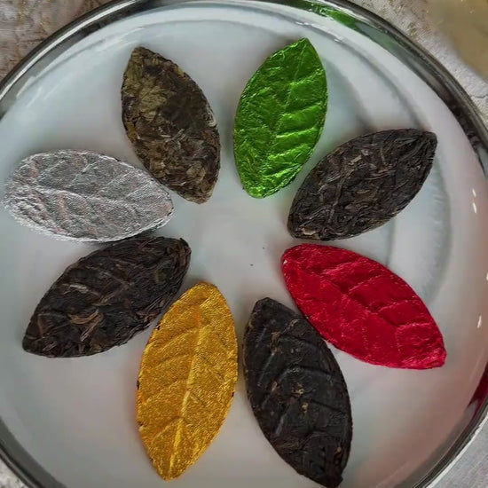 Pressed tea leaf slowly opening and steeping in a glass cup of hot water, turning it into amber autumn tea